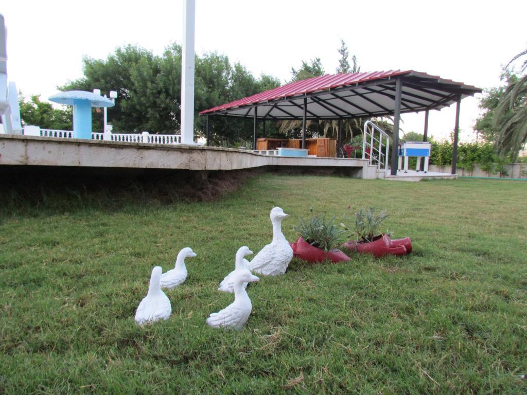 Dalyan Palmiye Resort Hotel ภายนอก รูปภาพ