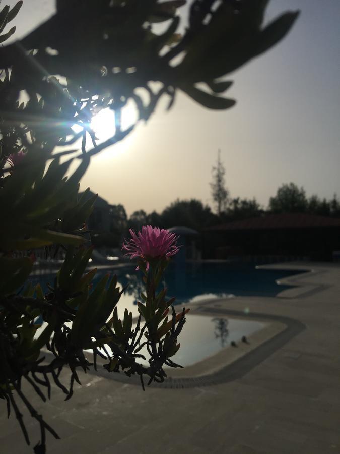 Dalyan Palmiye Resort Hotel ภายนอก รูปภาพ