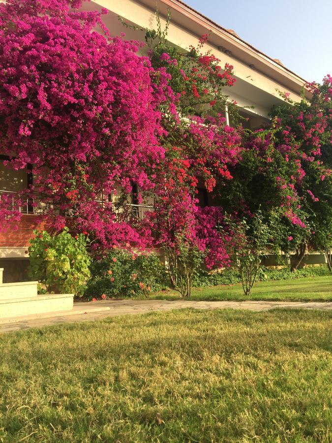 Dalyan Palmiye Resort Hotel ภายนอก รูปภาพ